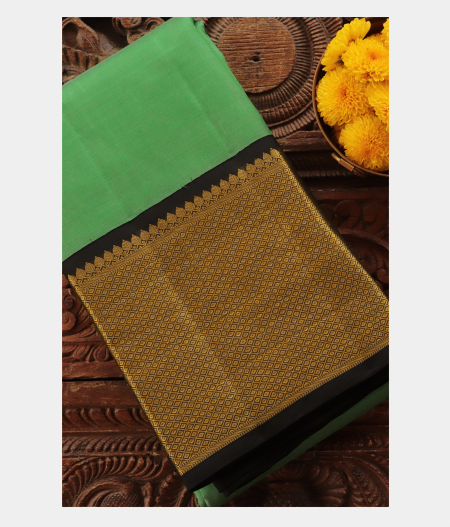 Light Green Handwoven Kanjivaram Silk Saree T223370-image