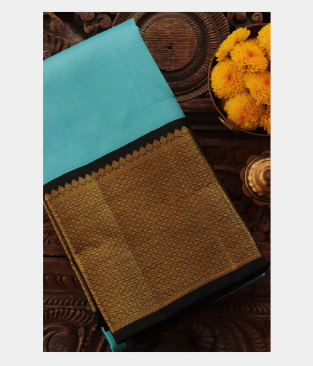 Light Blue Handwoven Kanjivaram Silk Saree T218025-image