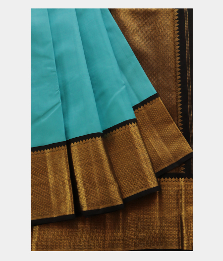 Light Blue Handwoven Kanjivaram Silk Saree T2180252