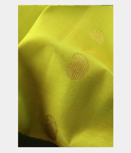 Light Green Handwoven Kanjivaram Silk Saree T2270575