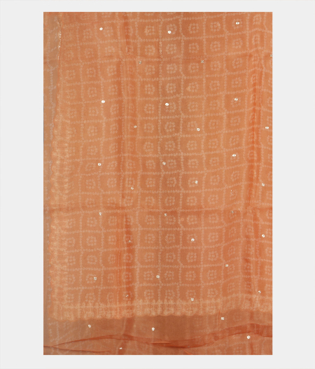 Peach Kora Organza Printed Saree T2276243