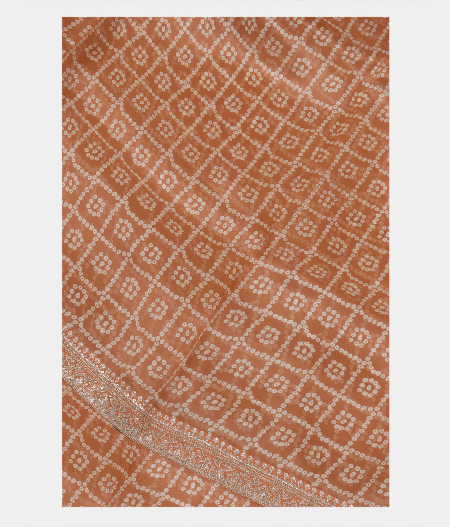 Light Salmon Pink Kora Organza Printed Saree T227605-image