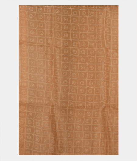 Light Salmon Pink Kora Organza Printed Saree T2276053