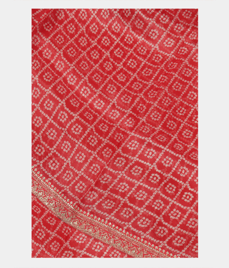 Reddish Orange Kora Organza Printed Saree T229479-image