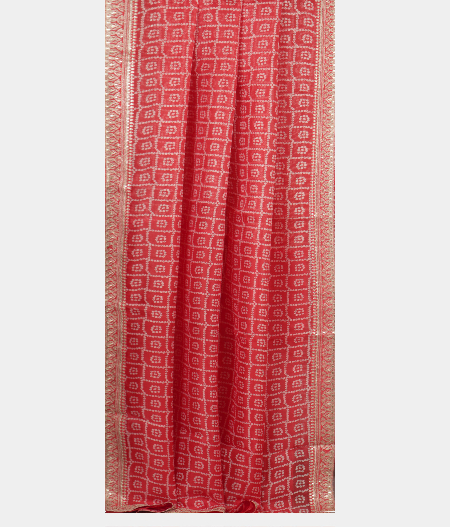 Reddish Orange Kora Organza Printed Saree T2294792