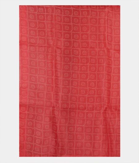 Reddish Orange Kora Organza Printed Saree T2294793