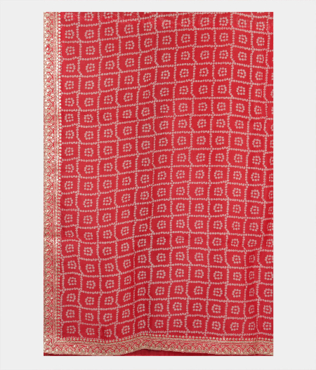 Reddish Orange Kora Organza Printed Saree T2294794