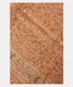 Light Peach Tussar Printed Saree T2276291