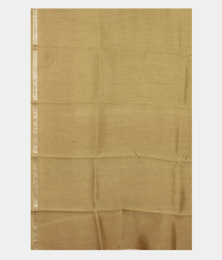 Green Kora Organza Printed Saree T2280753