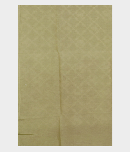 Green Kora Organza Embroidery Saree T2285883