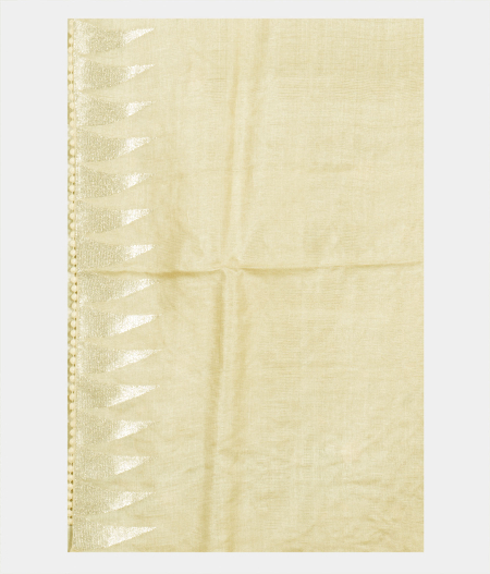 light-yellow-tussar-embroidery-saree-t229487-t229487-c