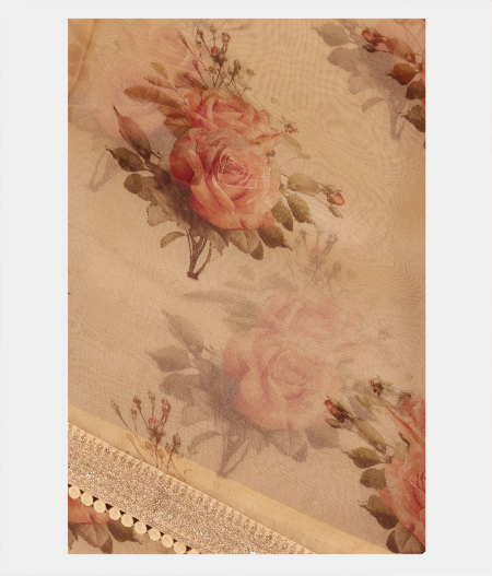 Peach Kora Organza Embroidery Saree T226320-image