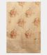 Peach Kora Organza Embroidery Saree  T2263204