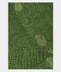 Green Bandhani Tussar  Saree T2219521