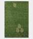 Green Bandhani Tussar  Saree T2219523