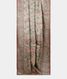 grey-tussar-embroidery-saree-t227639-t227639-b