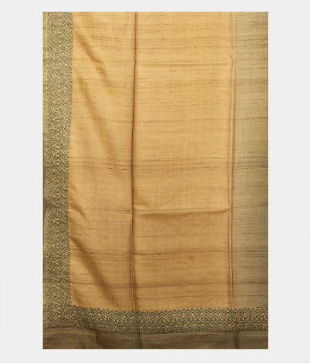 light-green-tussar-embroidery-saree-t224311-t224311-d