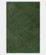 Light Green Bandhani tussar Saree T2219531