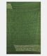 Light Green Bandhani tussar Saree T2219533