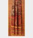 Grey Tussar Handpainted Kalamkari Saree T2275832