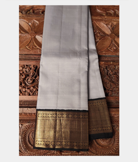 Light Grey Handwoven Kanjivaram Silk Saree T192861-image