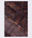 Dark Grey Kora Organza Printed Saree  T2301875