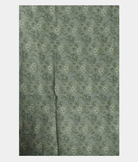 Green Kora Organza Printed Saree T2301853