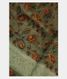 Green Kora Organza Printed Saree  T2301855