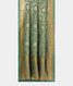 Green Tussar Georgette Silk Saree T2301712