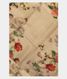 Beige Kanjivaram Silk Dupatta T2288561