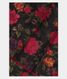 Black Kanjivaram Silk Dupatta T2150421