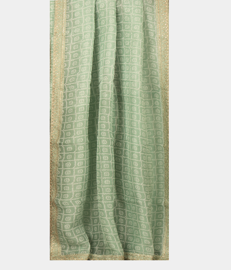 Light Blue Kora Organza Printed Saree T2322652