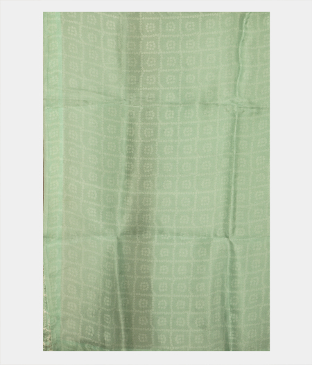 Light Blue Kora Organza Printed Saree T2322653