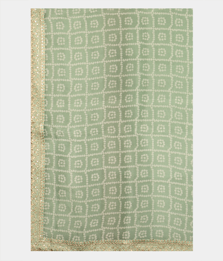 Light Blue Kora Organza Printed Saree T2322654