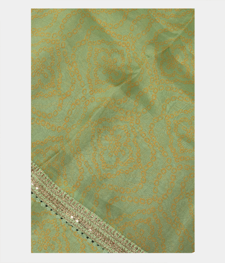 Greenish Blue Kora Organza Printed Saree T231934-image