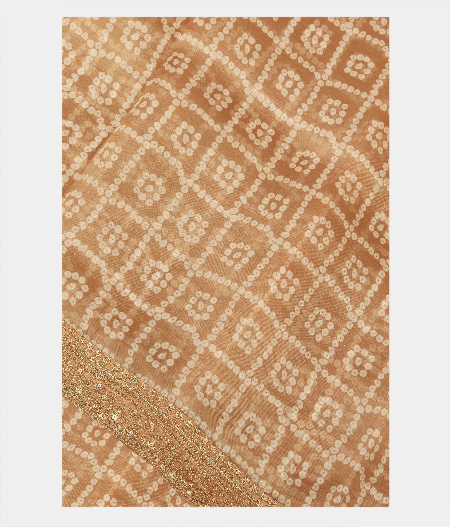 Beige Kora Organza Printed Saree T232272-image