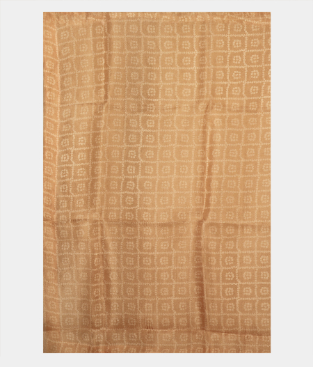 Beige Kora Organza Printed Saree T2322723