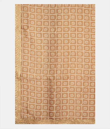 Beige Kora Organza Printed Saree T2322724