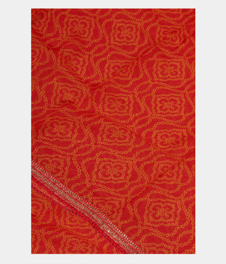 Reddish Orange Kora Organza Printed Saree T231930-image