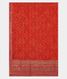 Reddish Orange  Kora Organza Printed Saree T2319304
