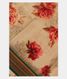 Beige Vidarbha Tussar Saree T2160511