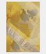White Kora Organza Printed Saree T2326441