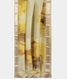 White Kora Organza Printed Saree T2326442