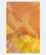 Beige Kora Organza Printed Saree T2326421