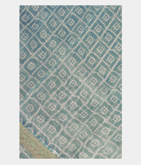 Blue Kora Organza Printed Saree T229481-image