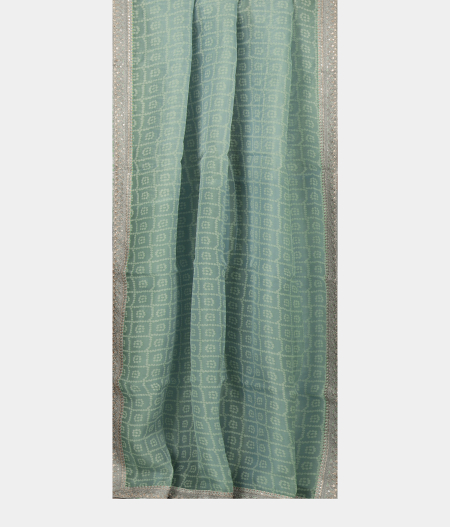 Blue Kora Organza Printed Saree T2294812