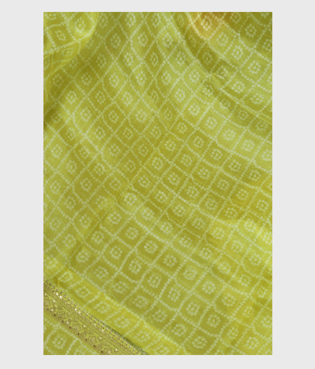 Green Kora Organza Printed Saree T229480-image