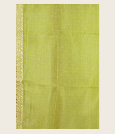 Green Kora Organza Printed Saree T2294803