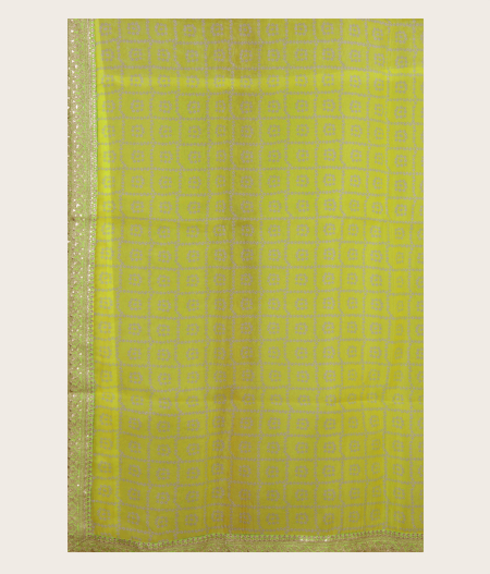 Green Kora Organza Printed Saree T2294804