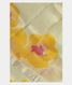 Grey Kora Organza Printed Saree  T2326451